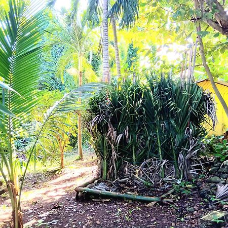 La Familia Guest House And Natural Farm Port Antonio Zewnętrze zdjęcie