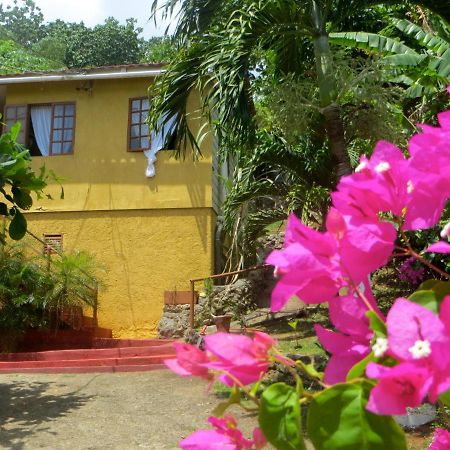La Familia Guest House And Natural Farm Port Antonio Zewnętrze zdjęcie