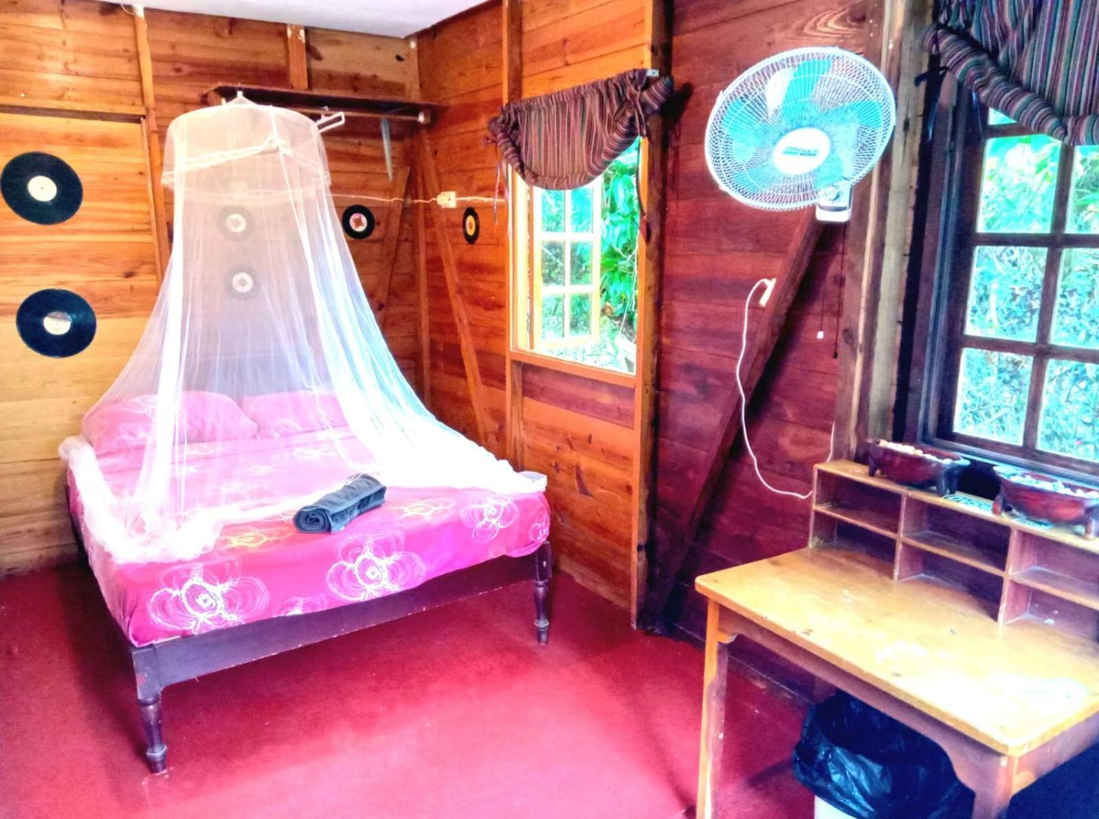 La Familia Guest House And Natural Farm Port Antonio Zewnętrze zdjęcie