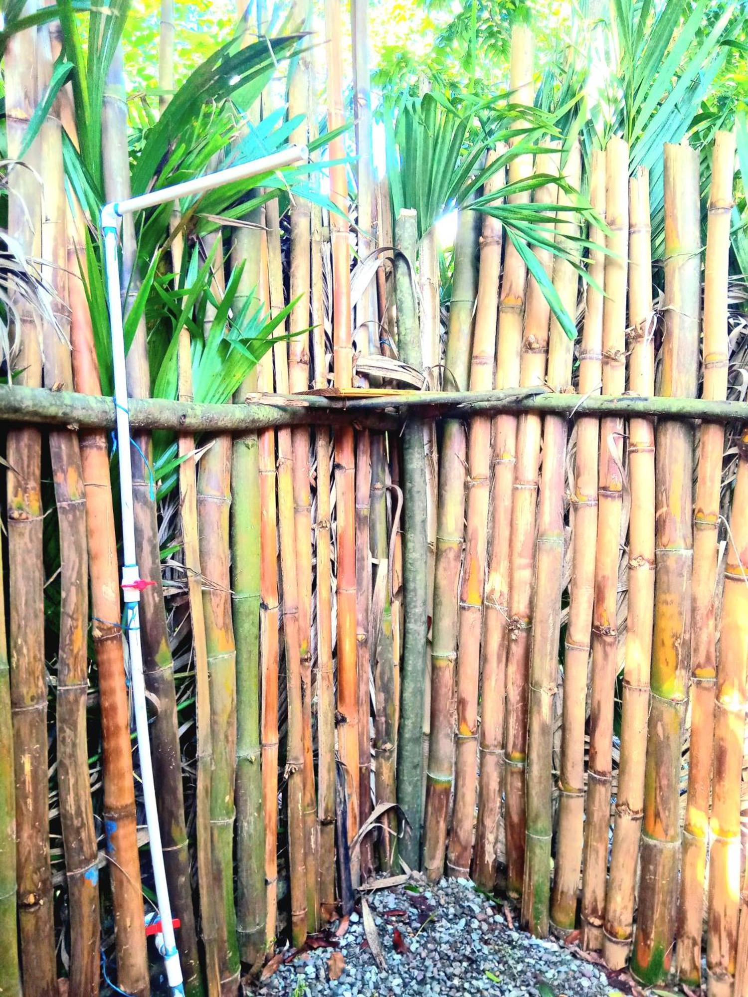 La Familia Guest House And Natural Farm Port Antonio Zewnętrze zdjęcie