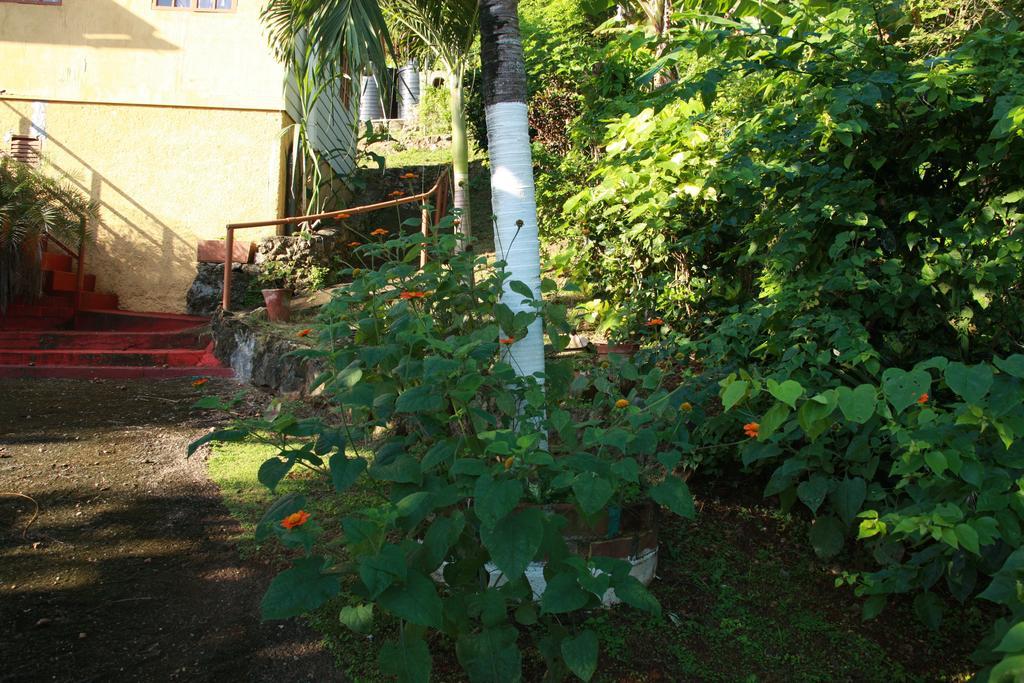La Familia Guest House And Natural Farm Port Antonio Zewnętrze zdjęcie