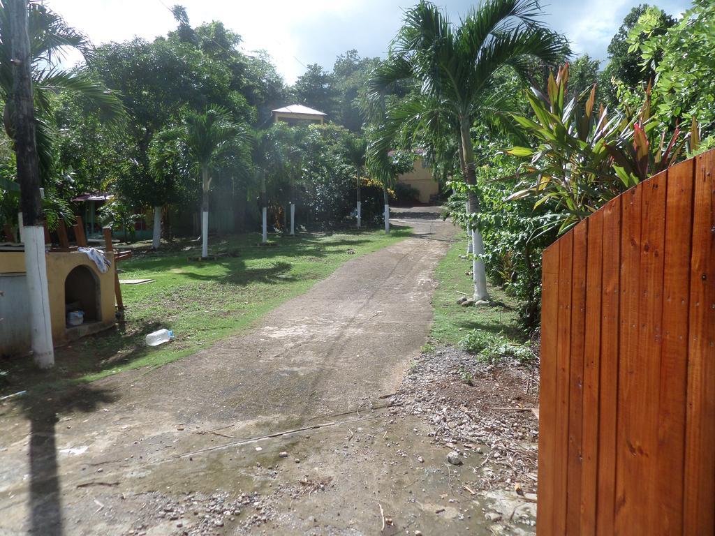 La Familia Guest House And Natural Farm Port Antonio Zewnętrze zdjęcie
