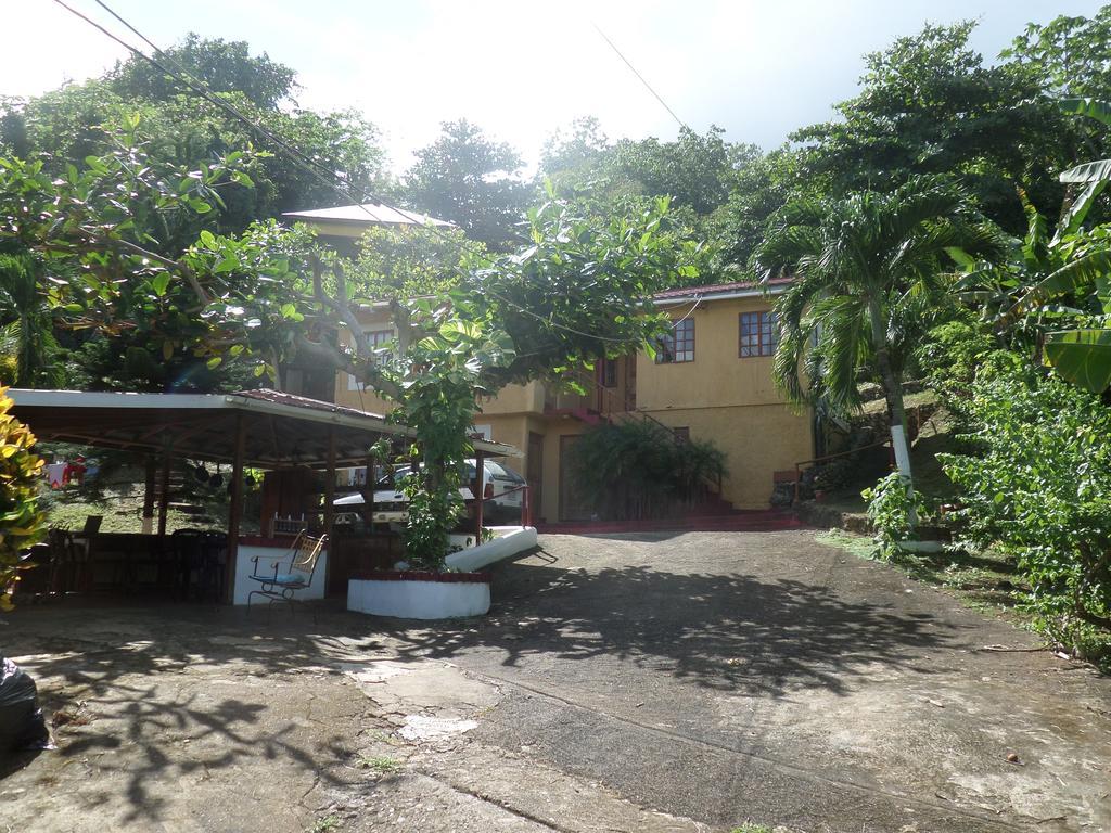 La Familia Guest House And Natural Farm Port Antonio Zewnętrze zdjęcie