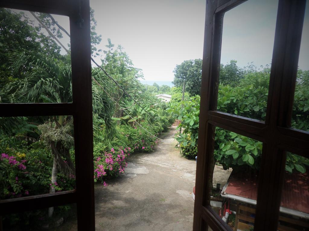 La Familia Guest House And Natural Farm Port Antonio Zewnętrze zdjęcie